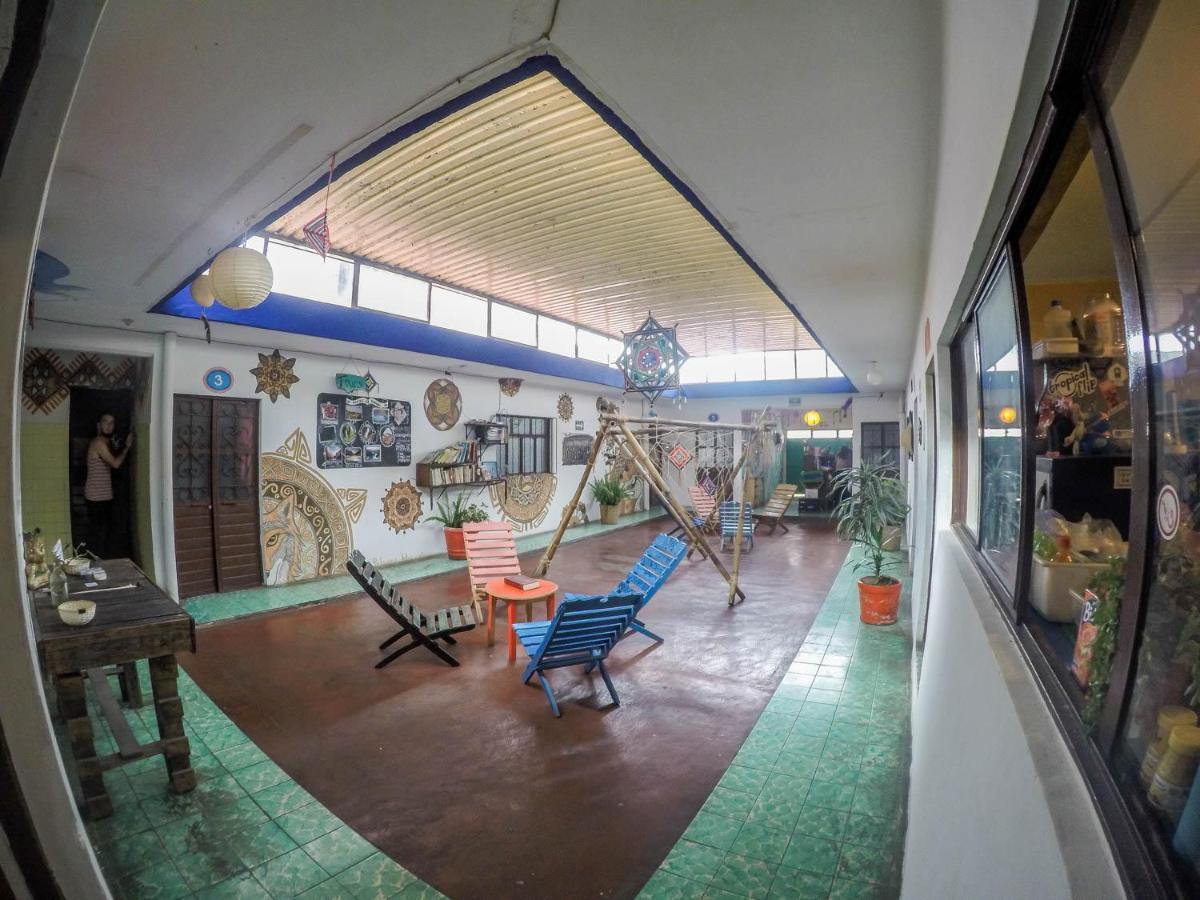 Hostel El Nagual San Cristóbal de Las Casas Eksteriør billede