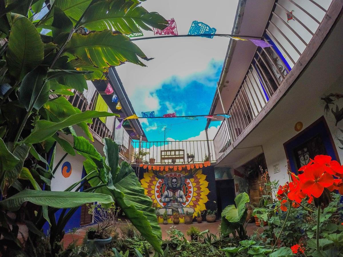 Hostel El Nagual San Cristóbal de Las Casas Eksteriør billede