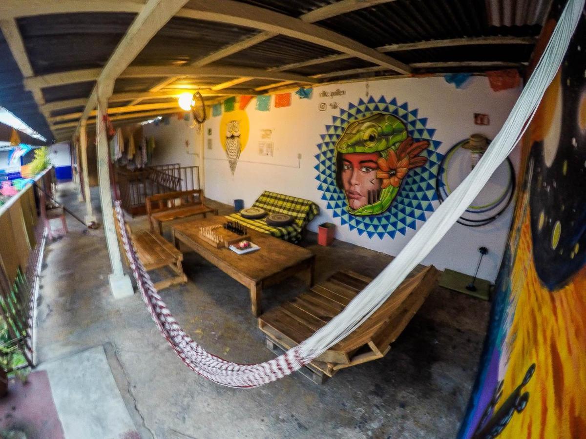 Hostel El Nagual San Cristóbal de Las Casas Eksteriør billede